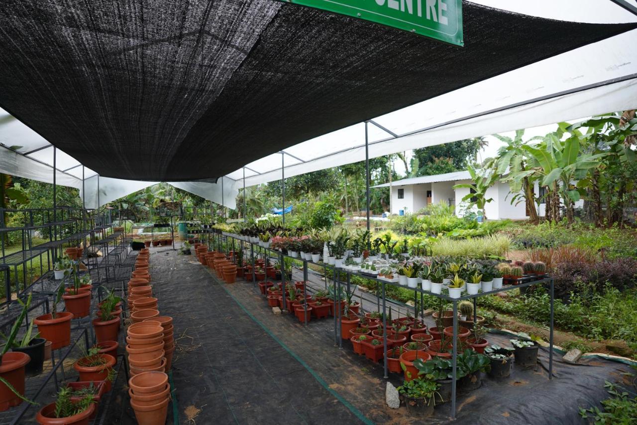 Carmel Tourism Village Kotamangalam Екстериор снимка
